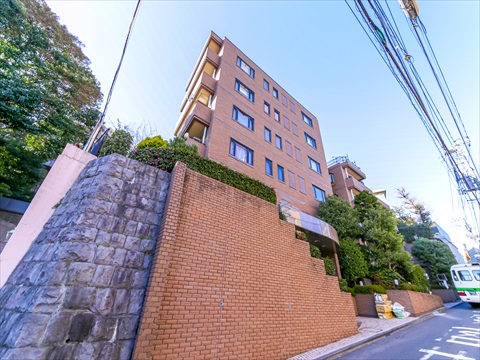 ディアナガーデン麻布の写真 13枚目