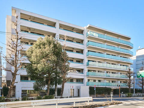 プレシス代々木公園の写真 11枚目