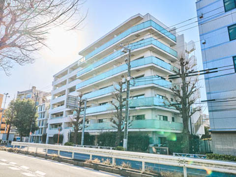 プレシス代々木公園の写真 13枚目