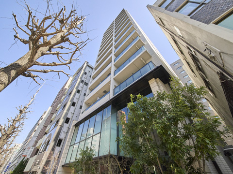 アトラス本郷三丁目の写真 10枚目