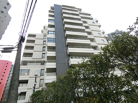 代々木パークサイドの写真 13枚目