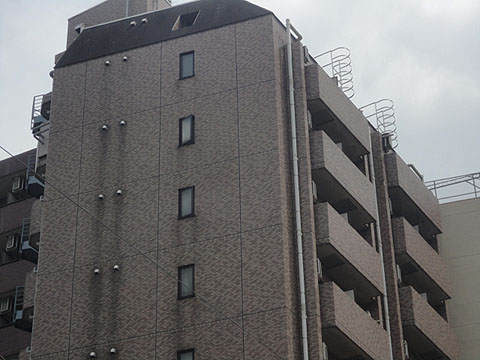 日神パレステージ護国寺の写真 12枚目