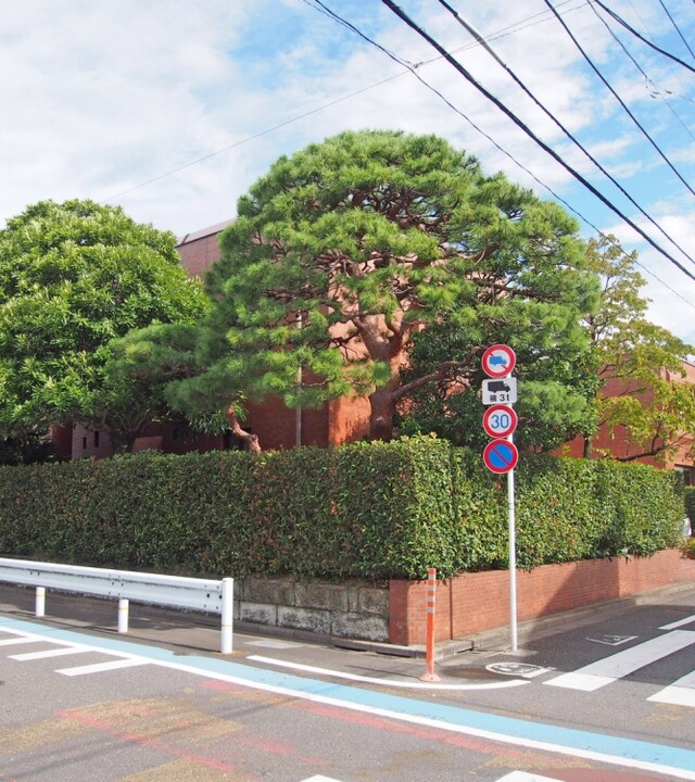 成城第一マンションズの写真 3枚目