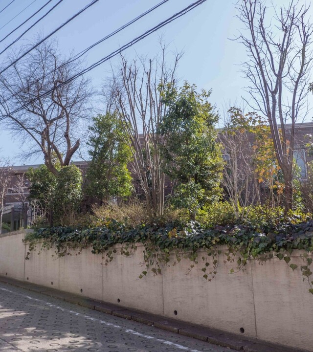 グランスイート岡本の写真 4枚目