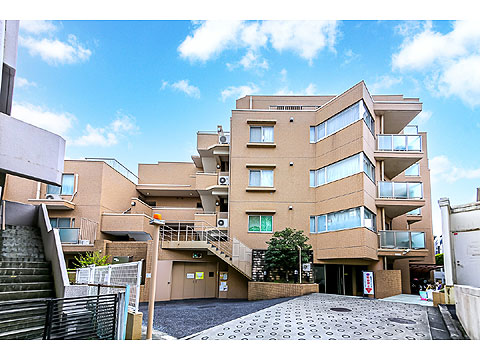 ビューネ南青山ヒルズの写真 16枚目