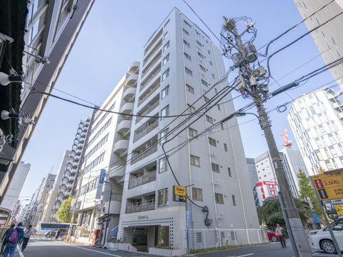 グリーンパーク銀座エストの写真 11枚目