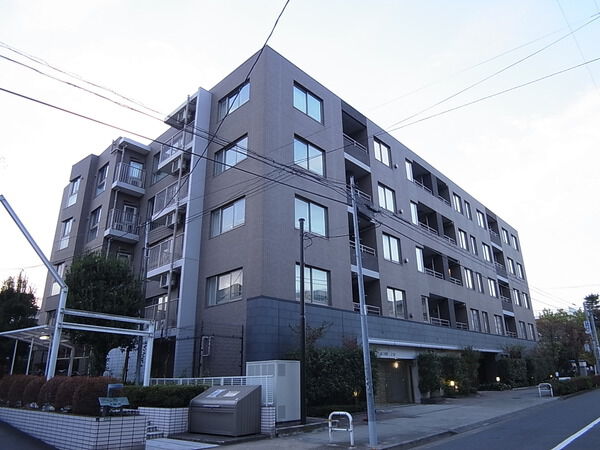 グランスイート二子玉川スタイルフォートの写真 5枚目