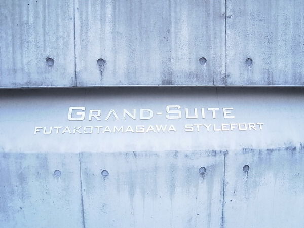 グランスイート二子玉川スタイルフォートの写真 9枚目