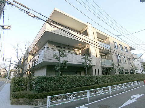 松濤ガーデンの写真 9枚目