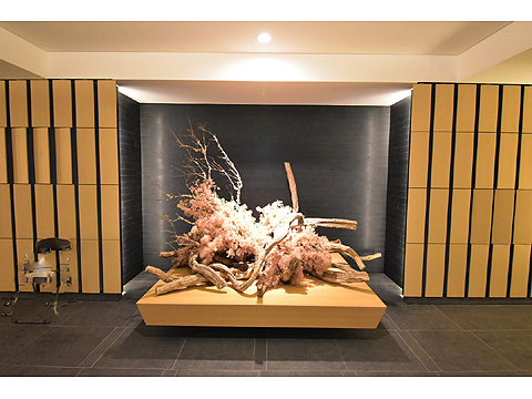 ディアナガーデン西麻布の写真 13枚目