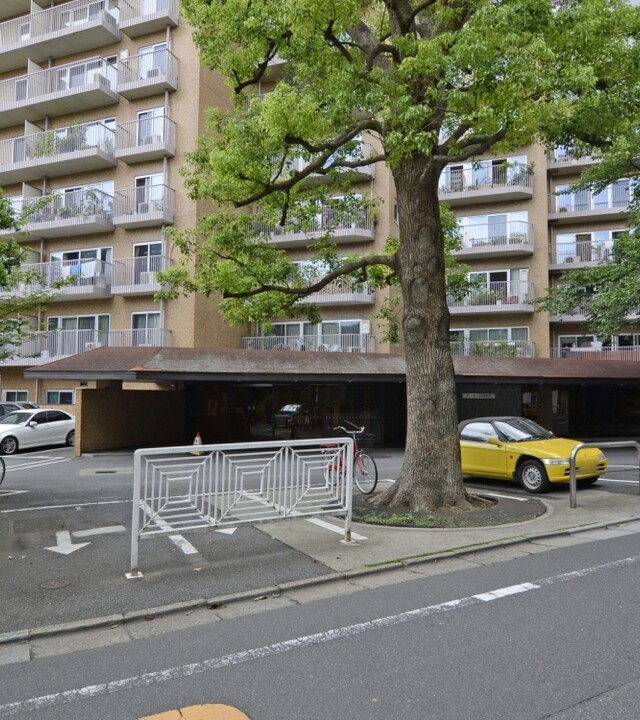 代々木の杜ハイツの写真 10枚目