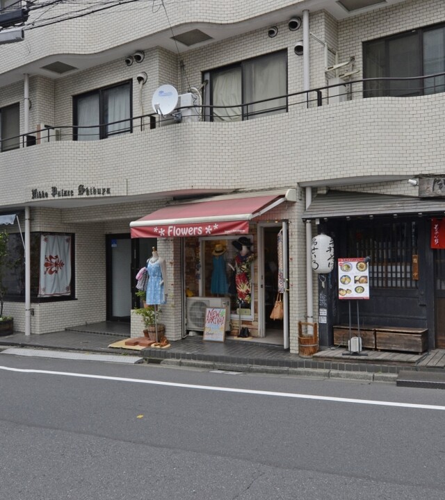 日興パレス渋谷の写真 10枚目