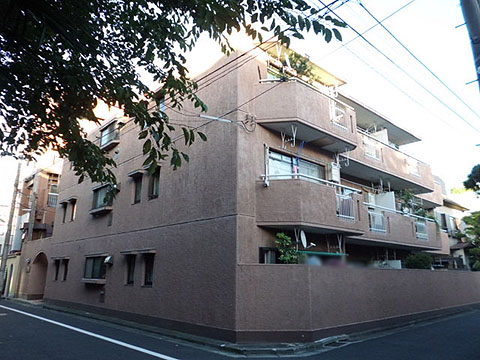 グリーンキャピタル上野毛の写真 11枚目