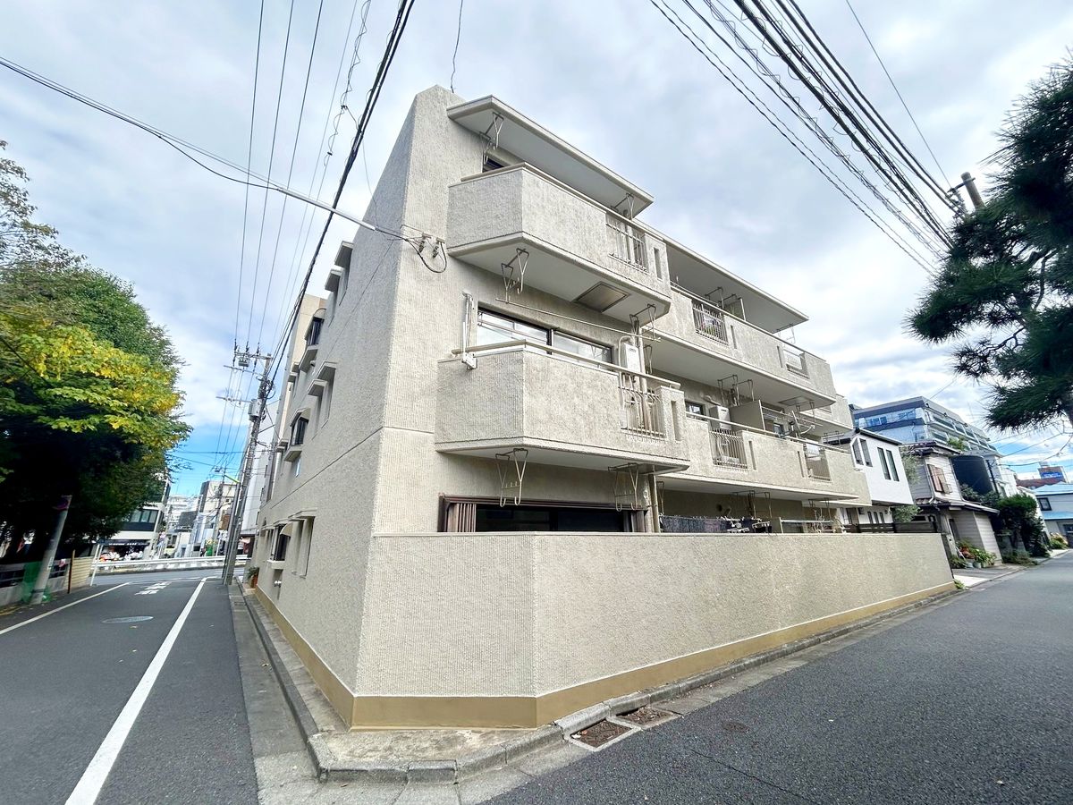 グリーンキャピタル上野毛の写真 10枚目