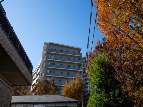 深沢ハウスL棟の写真 3枚目
