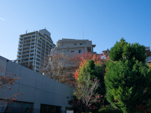 深沢ハウスL棟の写真 4枚目