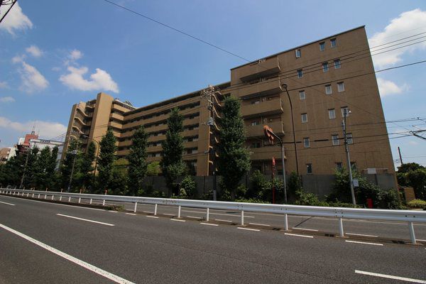 ブランズジオ等々力の写真 8枚目