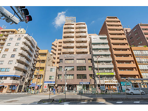 ゾンネンハイム六義園の写真 11枚目