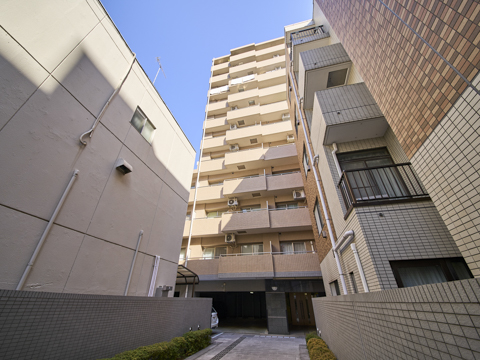 ヴェラハイツ本郷の写真 12枚目