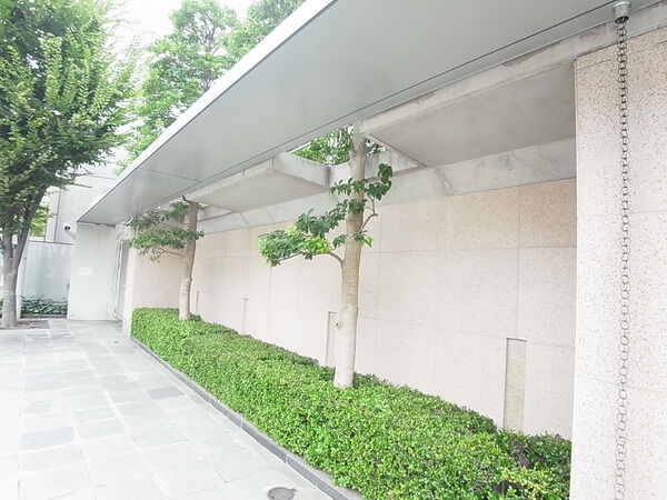 南平台ハウスの写真 6枚目