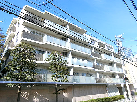 南平台ハウスの写真 11枚目