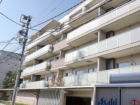 南平台ハウスの写真 12枚目