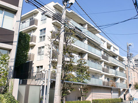 南平台ハウスの写真 14枚目