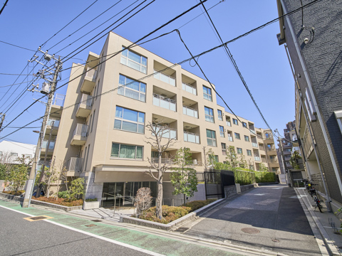 ブランズ本郷真砂の写真 13枚目