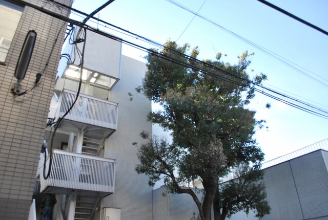 サンライン南青山ハイツのエントランス・共用部