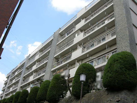 成城マンションの写真 6枚目