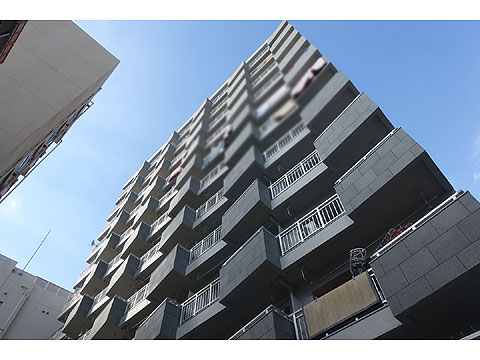 白金武蔵野マンションの写真 12枚目