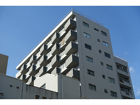 白金武蔵野マンションの写真 15枚目