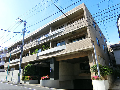 ベルハイム広尾の写真 14枚目