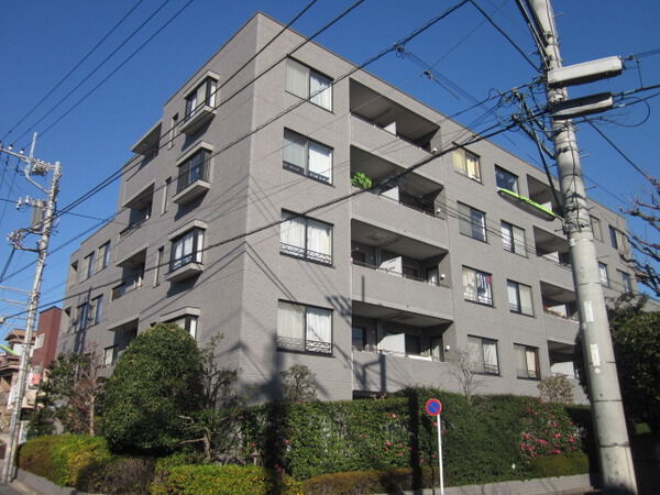 ステイツ二子玉川園の写真 7枚目