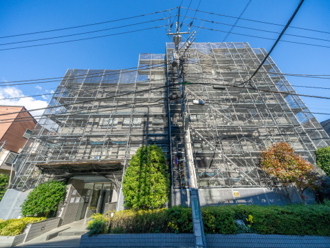 ステイツ二子玉川園の写真 13枚目