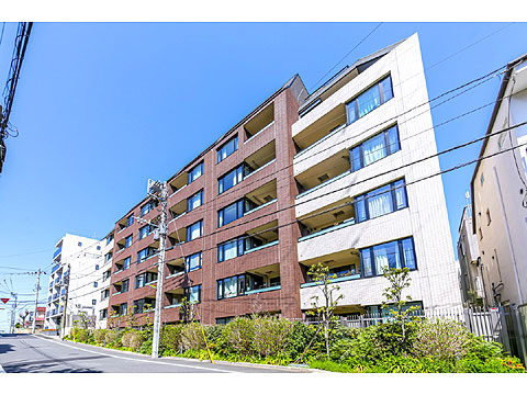 ジオ等々力の写真 11枚目