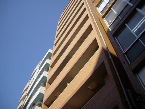 アヴァンツァーレ文京本駒込の写真 6枚目