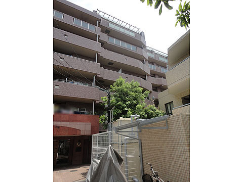 ロータリーパレス春日文京の写真 13枚目