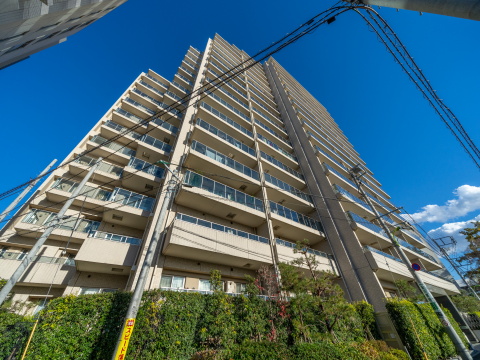 ブランズ二子玉川の写真 13枚目