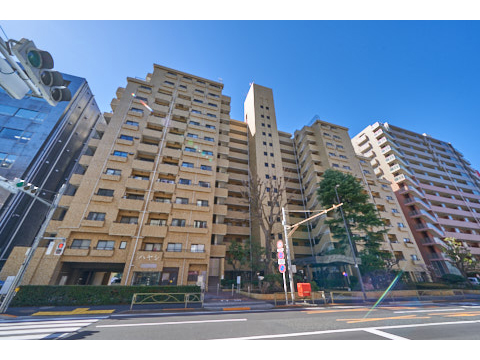 マンション小石川台の写真 14枚目