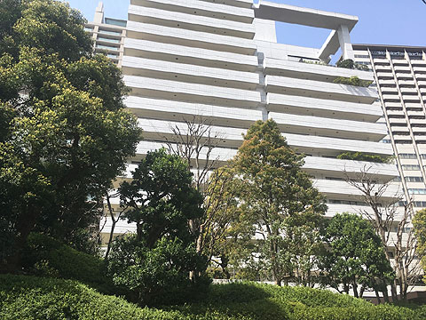 チュリス赤坂の写真 8枚目