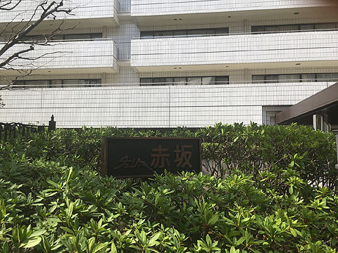 チュリス赤坂の写真 14枚目