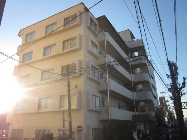 ジュネス等々力の写真 7枚目