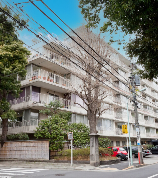 白金マンションの写真 6枚目