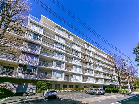 白金マンションの写真 11枚目