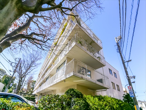 白金マンションの写真 13枚目