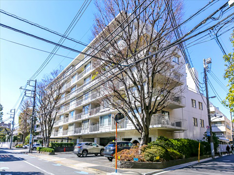 白金マンションの写真 14枚目