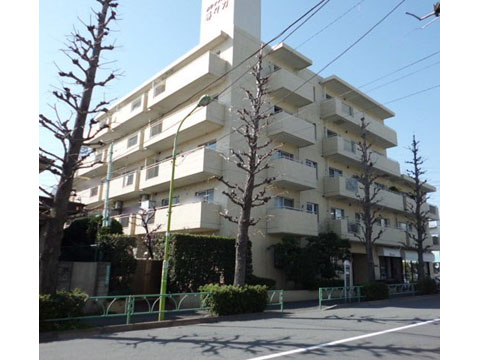 タウンシップ等々力の写真 11枚目