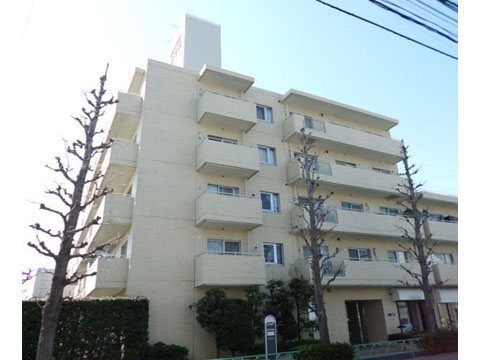 タウンシップ等々力の写真 12枚目