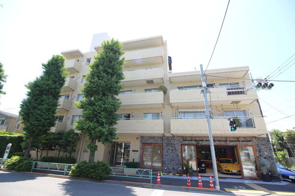 タウンシップ等々力の外観写真 - 世田谷区等々力8丁目20番21号